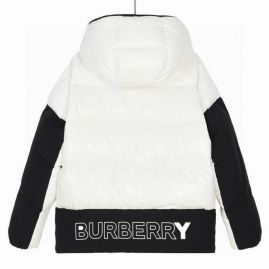 Picture of Burberry Down Jackets _SKUBurberryXS-XLrzn868684